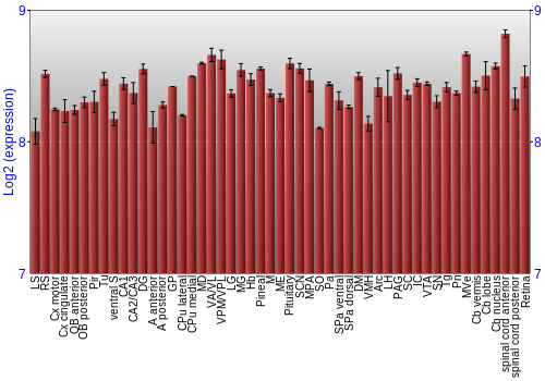 Expression graph