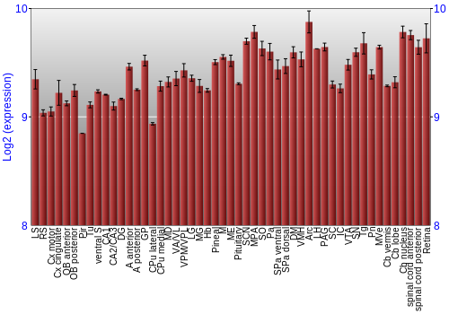 Expression graph
