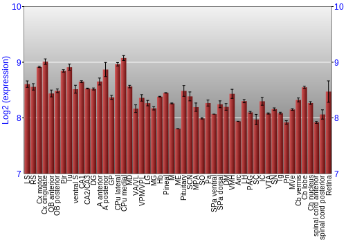 Expression graph