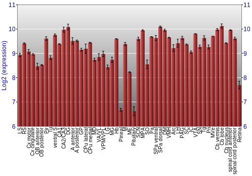 Expression graph