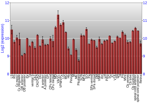 Expression graph