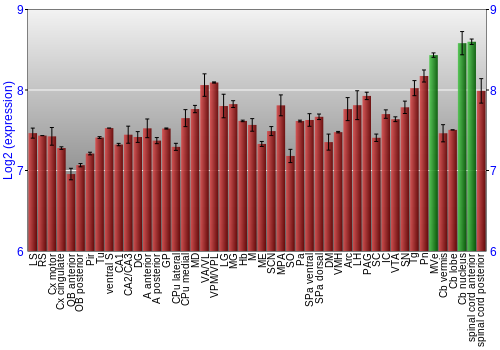 Multi-state expression graph