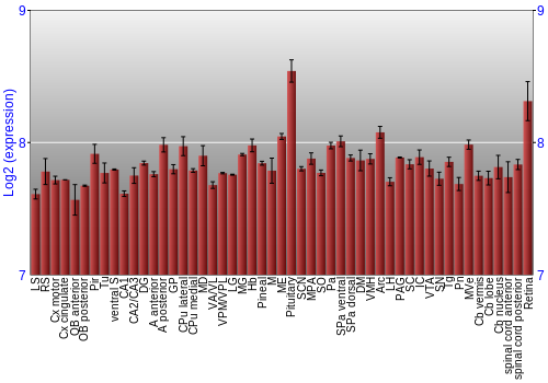 Expression graph