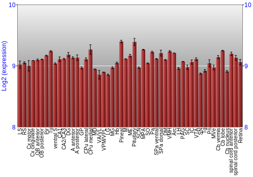 Expression graph
