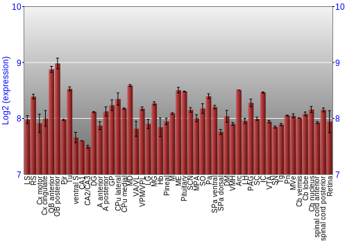 Expression graph