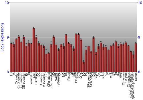 Expression graph