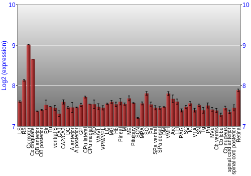 Expression graph