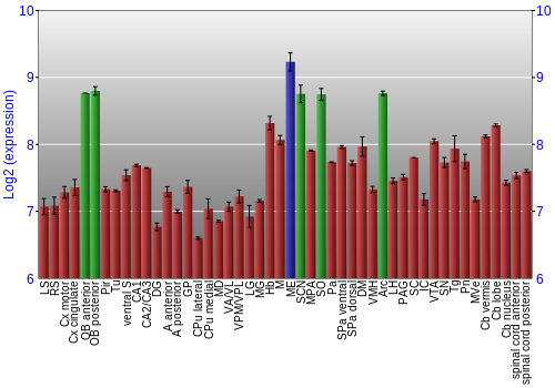 Multi-state expression graph