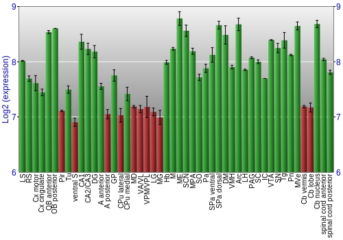 Multi-state expression graph