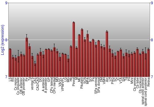 Expression graph