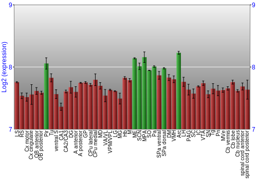 Multi-state expression graph