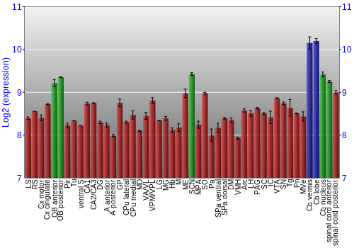 Multi-state expression graph