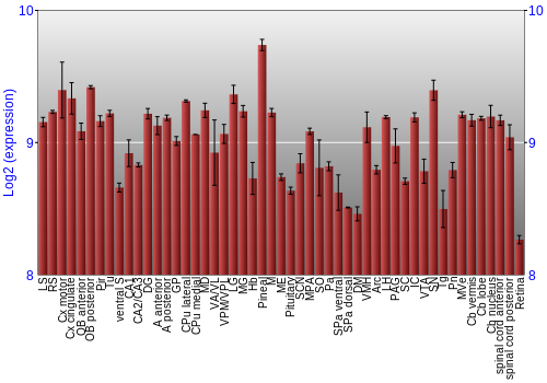 Expression graph