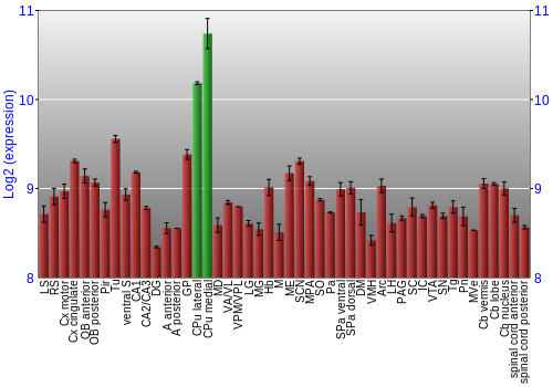 Multi-state expression graph