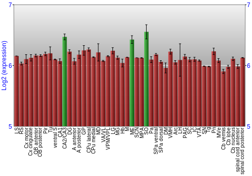 Multi-state expression graph