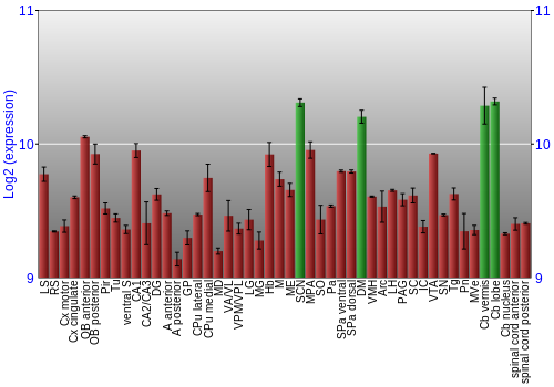 Multi-state expression graph