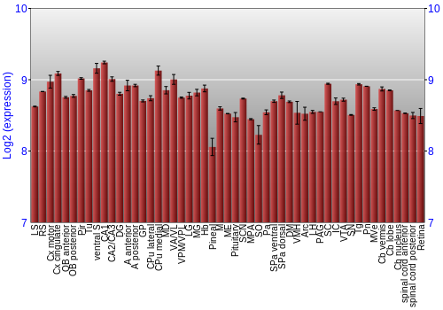 Expression graph