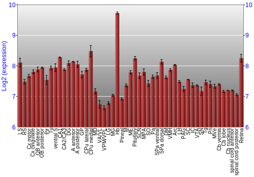 Expression graph