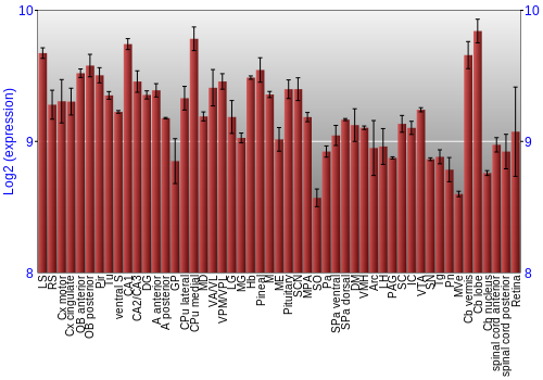 Expression graph
