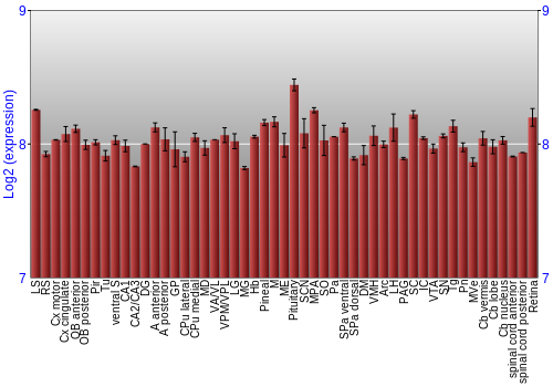 Expression graph