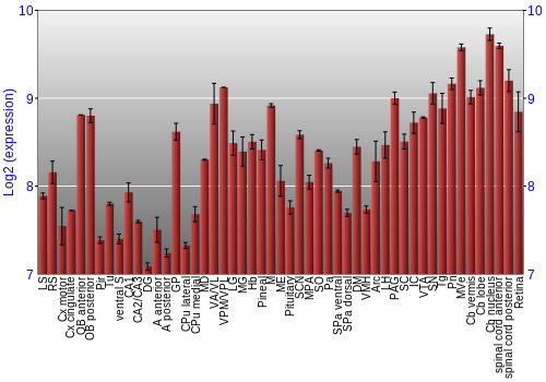 Expression graph