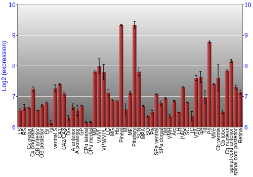 Expression graph