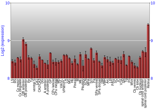 Expression graph