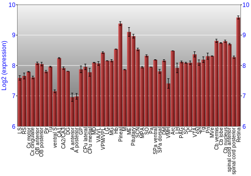 Expression graph