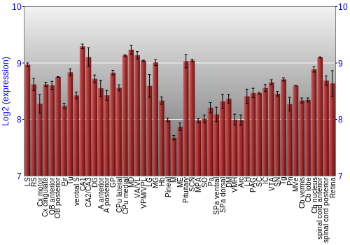Expression graph