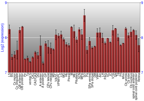 Expression graph