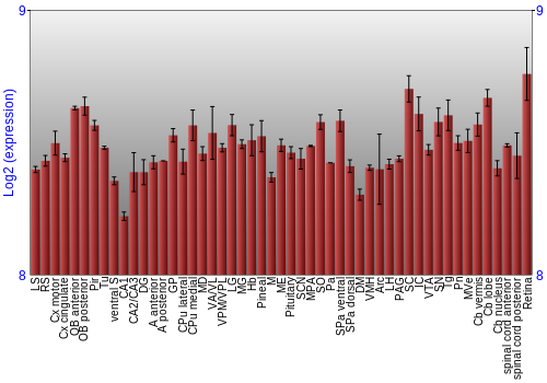 Expression graph