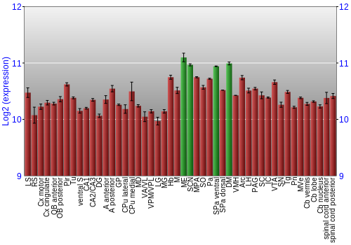 Multi-state expression graph