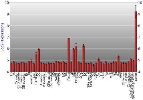 Expression graph