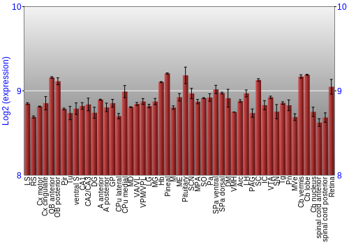 Expression graph
