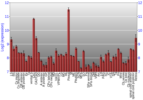 Expression graph