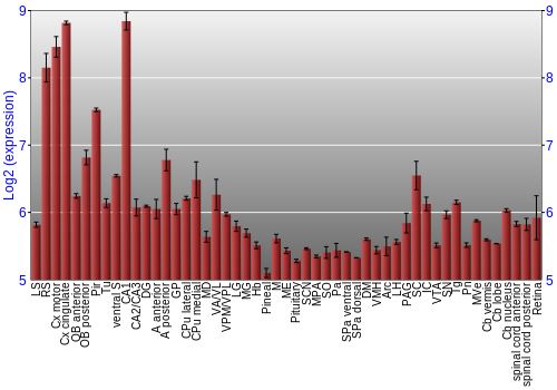 Expression graph