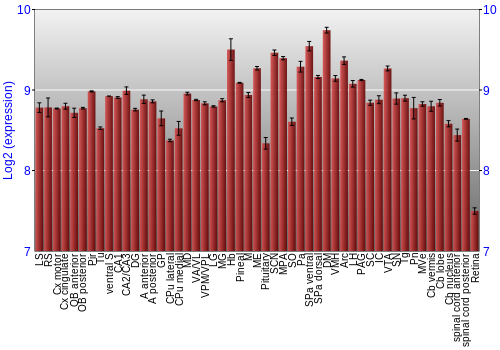 Expression graph