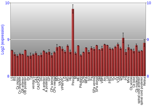 Expression graph