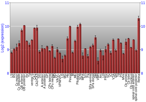 Expression graph