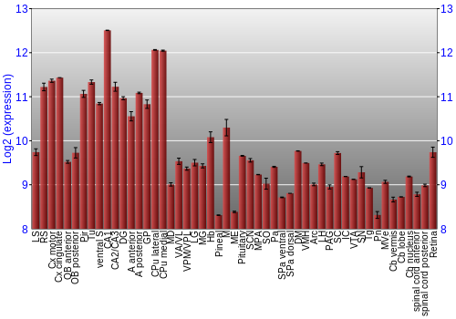Expression graph