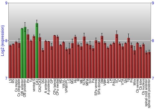 Multi-state expression graph
