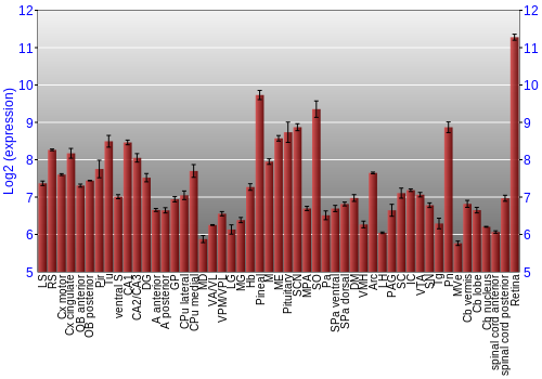 Expression graph