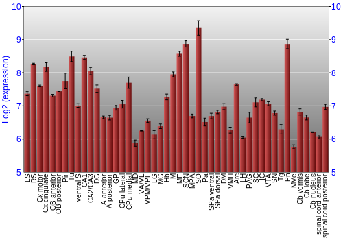 Multi-state expression graph