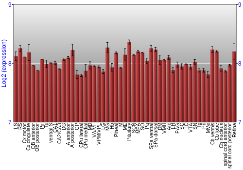 Expression graph
