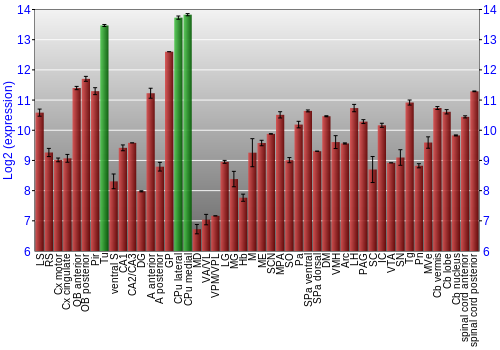 Multi-state expression graph