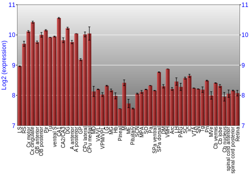 Expression graph