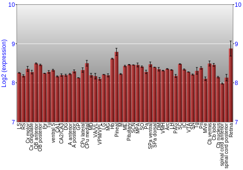 Expression graph