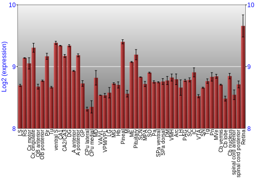 Expression graph