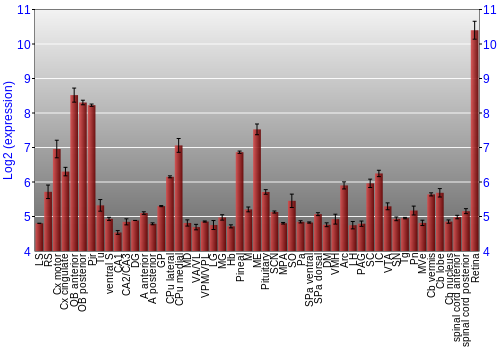 Expression graph