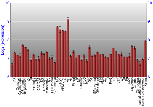 Expression graph